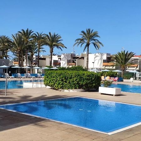 Simple Apartment Frontera Primavera Pool In South Tenerife Costa del Silencio Eksteriør billede